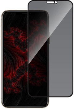 Защитное стекло антишпион Intaleo Privacy для Apple iPhone X/XS/11 Pro Black (1283126621345)