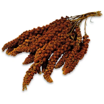 Красное просо для волнистых попугаев JR Farm Birds Spray Millet Red 250 г (4024344005077)