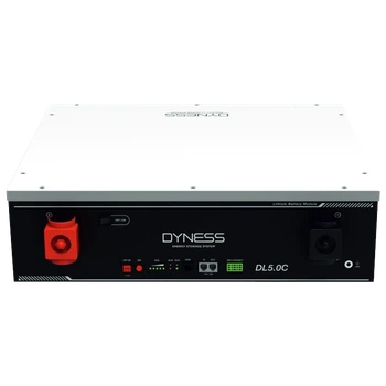 Литиевая аккумуляторная батарея Dyness DL5.0C 51.2В 5.12 кВт•ч 100А с подогревом и Wi-Fi модулем
