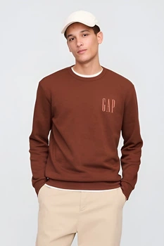 Свитшот Gap 54(2XL) Коричневий (132926)