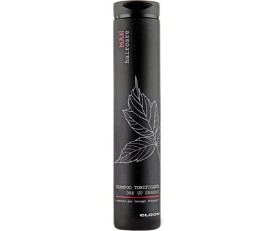 Шампунь Elgon мужской для ежедневного применения Man Day Up Shampoo 250 мл