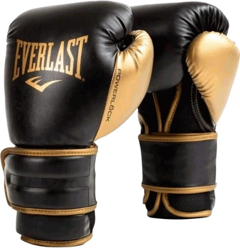 Боксерские перчатки Everlast Powerlock 2R Training Glove P00002665 16 унций Черно-золотые (009283611996)