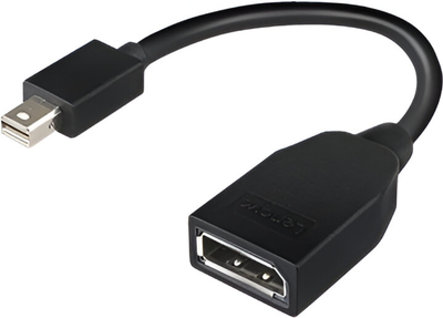 Kabel adapter Lenovo DisplayPort - Mini DisplayPort (4X90L13971)