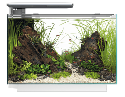 Акваріумний набір SuperFish Quadro 70 Pro White (A4052220)