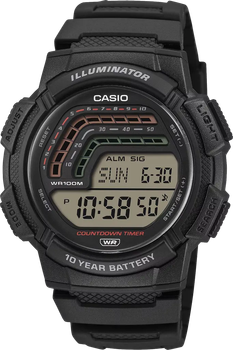 Наручные часы CASIO WS-1800-1AVEF