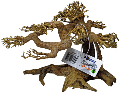 Дерево бонсай BONSAI DRIFTWOOD S (A4080100)