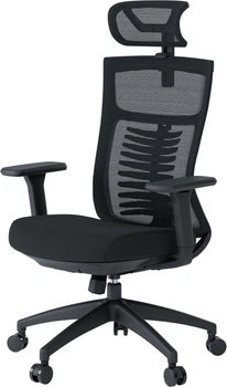 Кресло компьютерное офисное эргономичное OfficePro Balance OC550-B-B-B Black