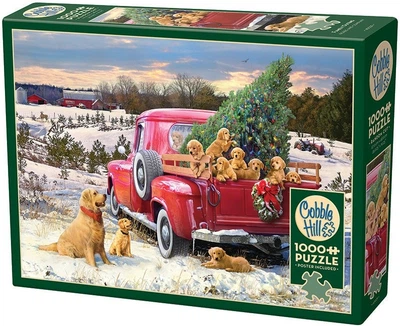 Puzzle Cobble Hill Rodzinna wycieczka 1000 elementów 113024 (625012400299)