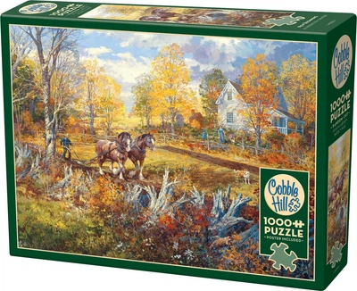 Puzzle Cobble Hill Nowy Początek 1000 elementów 113574 (625012403252)