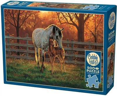 Puzzle Cobble Hill Wspólny czas 500 elementów 113153 (625012450027)