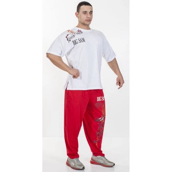 Футболка Big Sam белый М 2804