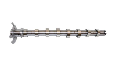 Распредвал Borsehung (B11321)
