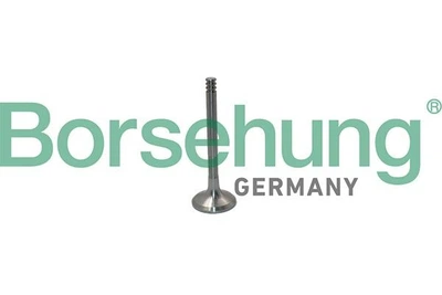 Выпускной клапан ГБЦ Borsehung (B19012)