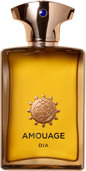 Парфумована вода для чоловіків Amouage Dia 100 мл (701666410034)