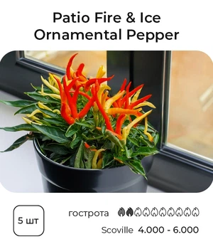 Насіння гострого перцю Patio Fire & Ice, 5 штук