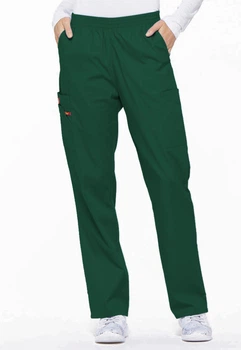 Штани Dickies EDS SIGNATURE Зелений M DKE86106/HUWZ/M