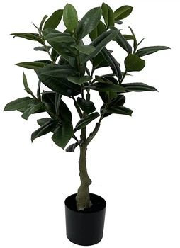 Sztuczne drzewko kauczukowe Present Time w plastikowej doniczce 69 cm (8714302737008)