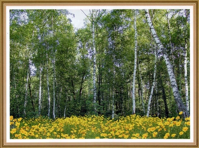 Фотообои глянцевые ArtDecor Лесные красавицы 134х194см