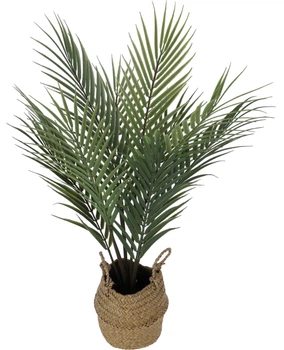 Sztuczna palma Progarden w koszyku 64 cm (8721037311625)