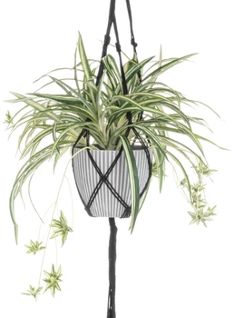 Sztuczna roślina 4Living Zielistka w wiszącej doniczce (6410416106724)