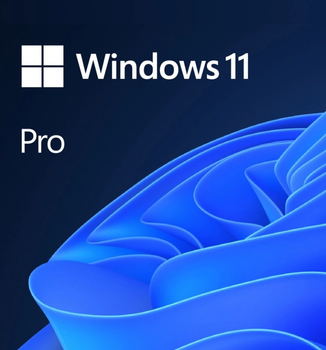 Операционная система Microsoft Windows 11 Professional (64-bit Ukrainian FPP на USB носії)