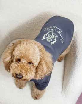 Толстовка Кураж серая Dogs Bomba Y-377/2