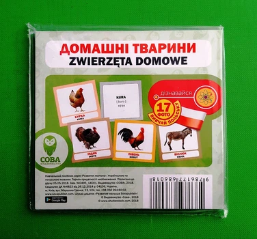 Домашні тварини (польсько-українські) Сова