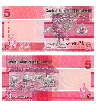 Банкнота 5 даласі Гамбія 2023 рік UNC
