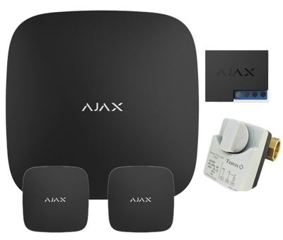 Комплект антипотоп 1/2" кран Tervix Pro Line ORC 220В, централь Ajax Hub, 2 датчика протечки Ajax Leaks, реле WallSwitch