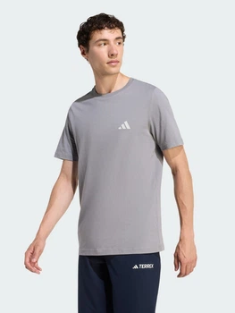 Футболка бавовняна довга чоловіча Adidas Terrex Camping Gear Graphic KB9636 XL Сіра з принтом (4068821733145)