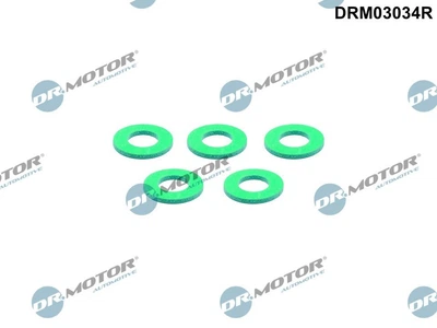 Уплотняющее кольцо Dr.Motor (DRM03034R)