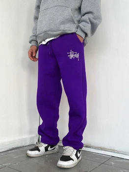 Чоловічі демісезонні спортивні штани Stussy XL фіолетовий (Sht182)