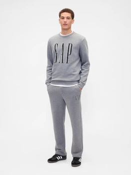 Спортивний костюм чоловічий утеплений GAP 355581199 2XL Сірий (1159852499)