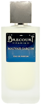 Woda perfumowana męska Brecourt Mauvais Garcon 100 ml (3770022101937)