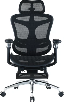 Крісло офісне Sihoo DORO C300 Pro Mesh Black (DORO-C300-PRO-M101-JT)