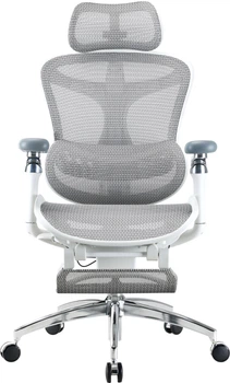 Кресло офисное Sihoo DORO C300 Pro Mesh White (DORO-C300-PRO-M102-JT)