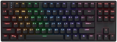 Клавиатура беспроводная Hator Icefall Mecha TKL Rainbow Wireless/USB Black (HTK287UA)