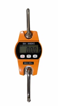 Весы крановые ВК Зевс I-300 до 300 кг (ZEUK300)