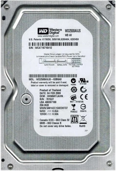 Накопичувач HDD SATA 250 GB WD AV 7200 rpm 8MB (WD2500AVJS) гар. 12 міс.