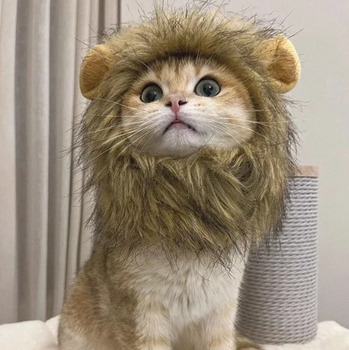 Кошачья шляпа со львом, парик с гривой для маленьких собак, кошек ABC