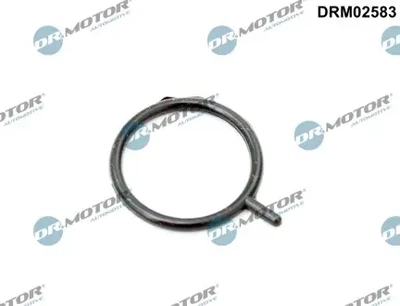 Уплотнительное кольцо Dr.Motor (DRM02583)