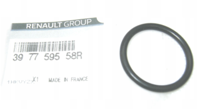 Уплотнительное кольцо Renault (39 77 595 58R)