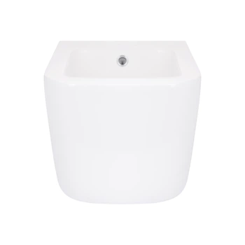 Біде підвісне Gemini 485×340×300 мм, White QTTAU28W49120 Qtap