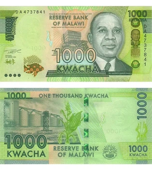 Банкнота 1000 квача Малаві 2024 рік UNC