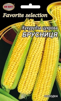 Насіння Кукурудза Брусниця (НК Еліт) 20 г