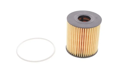 Фільтр масляний Ford Transit/Citroen Jumper 2.2HDI/2.4TDCi 06-/Peugeot 2.0HDI 03- HENGST FILTER E44H D110