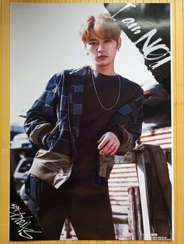 Постер Ли Ноу Стрей Кидс Lee Know Stray Kids (арт 8) 6739
