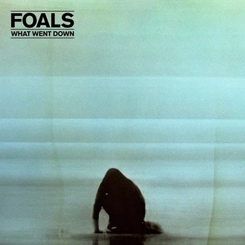Foals - What Went Down (180 грам, Альбом)