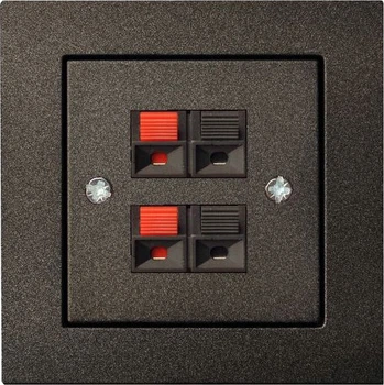 Аудіорозетка Liregus Epsilon Antracite Black (IGL-4-01_E/J)