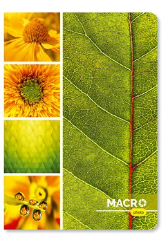 Блокнот Аркуш B6 48 аркушів у клітинку м'яка обкладинка Macro (1В1014)